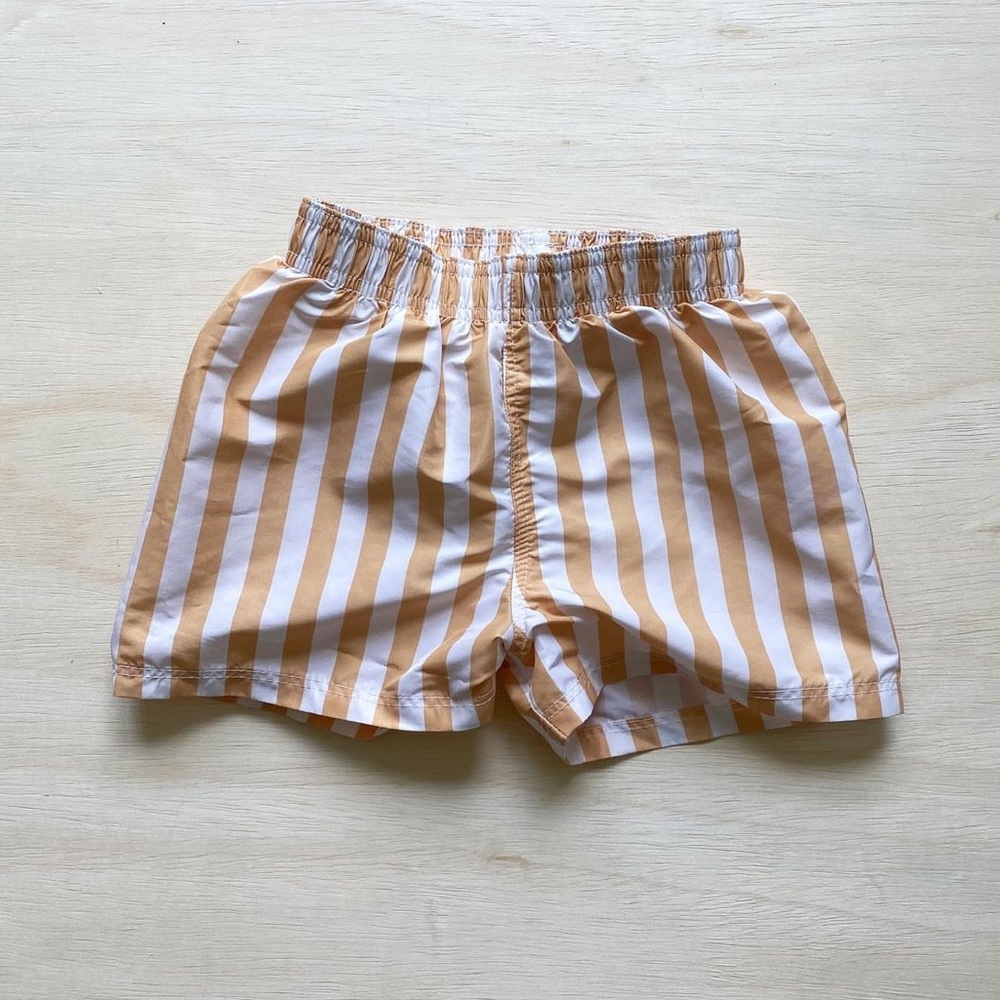 H&M Toddler Boys Striped Swim Trunks
